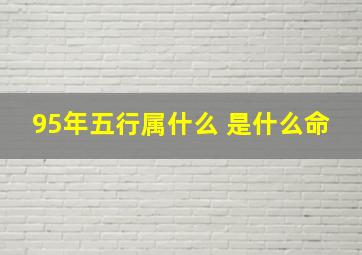 95年五行属什么 是什么命